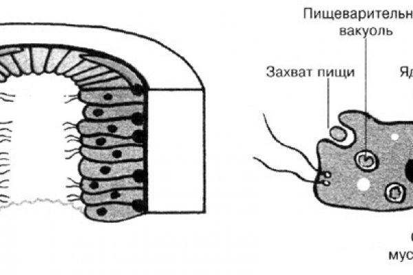 Кракен маркет даркнет speed up